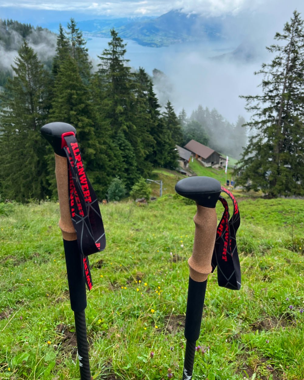 Zwei Alpenwert Teleskop-Wanderstöcke mit Korkgriff und Handschlaufen auf einer Bergwiese